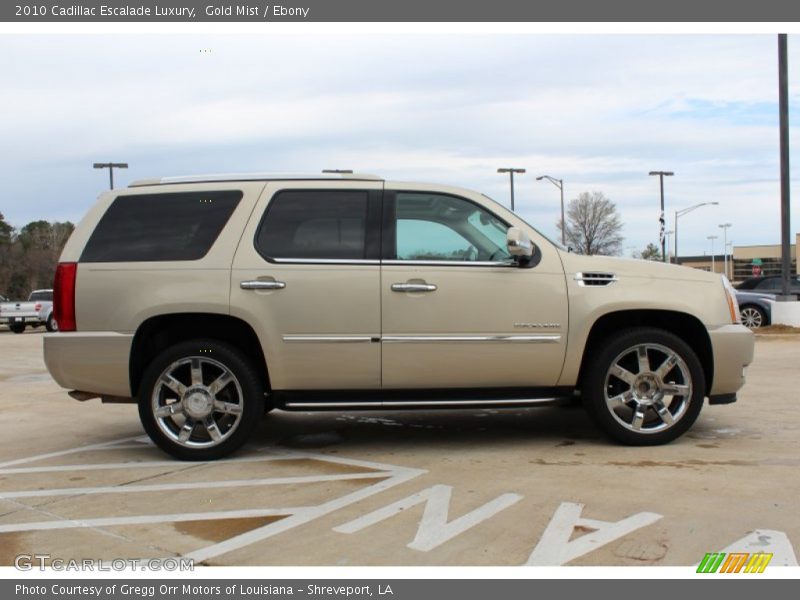 Gold Mist / Ebony 2010 Cadillac Escalade Luxury