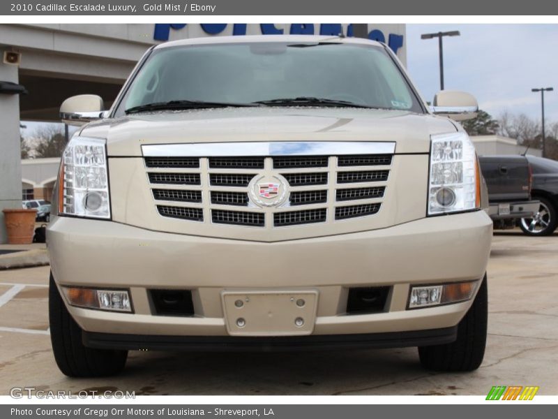 Gold Mist / Ebony 2010 Cadillac Escalade Luxury