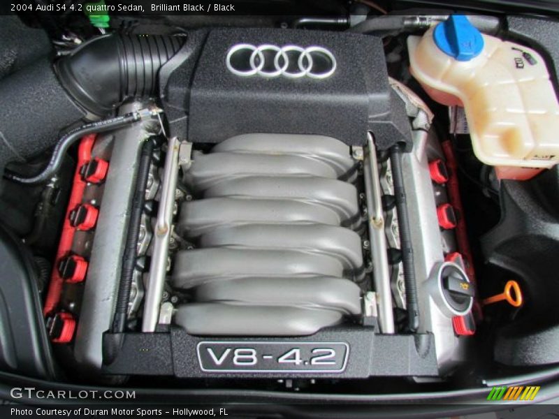  2004 S4 4.2 quattro Sedan Engine - 4.2 Liter DOHC 40-Valve V8