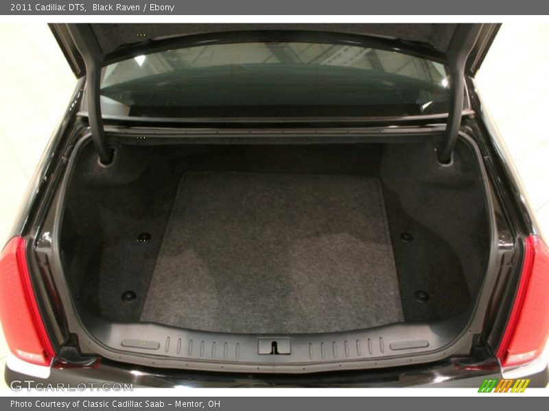  2011 DTS  Trunk