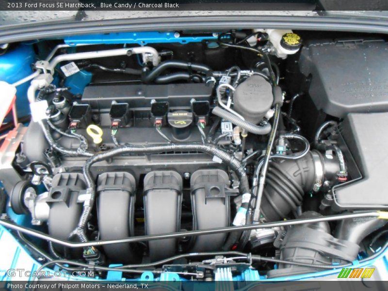 Blue Candy / Charcoal Black 2013 Ford Focus SE Hatchback