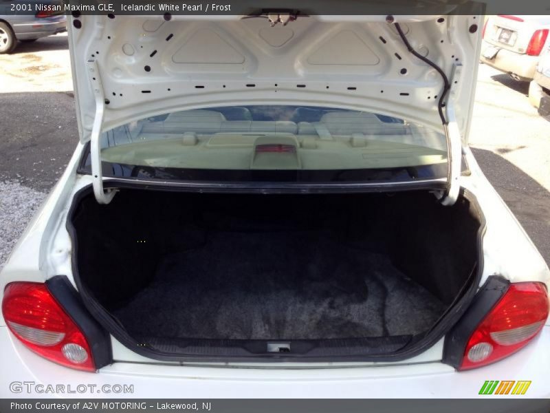 Icelandic White Pearl / Frost 2001 Nissan Maxima GLE
