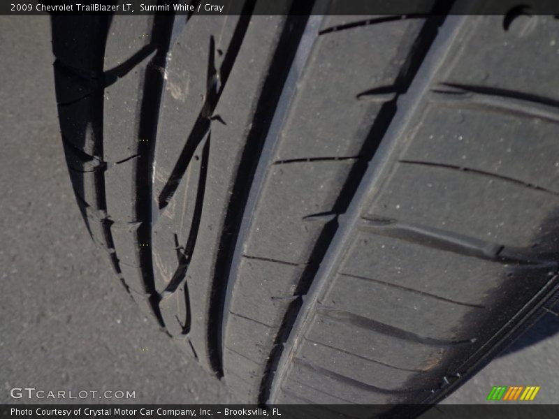 Summit White / Gray 2009 Chevrolet TrailBlazer LT