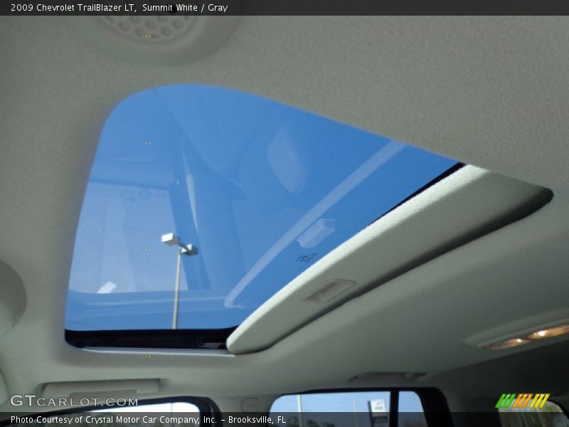 Summit White / Gray 2009 Chevrolet TrailBlazer LT