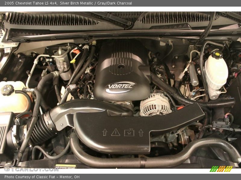 Silver Birch Metallic / Gray/Dark Charcoal 2005 Chevrolet Tahoe LS 4x4