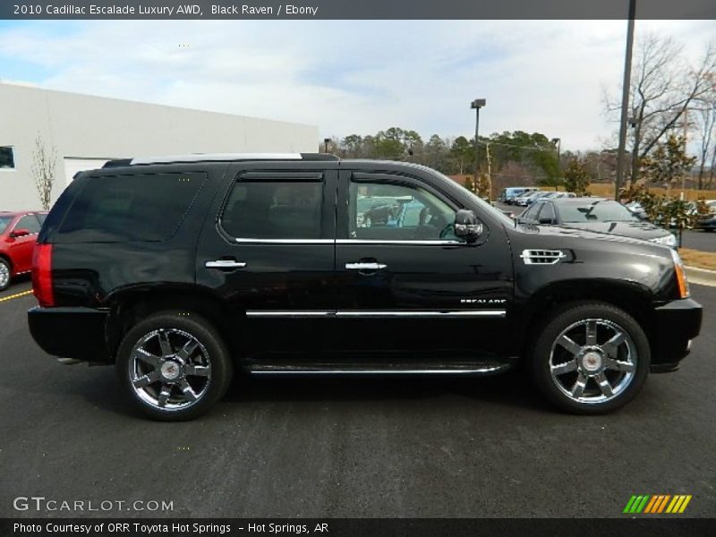 Black Raven / Ebony 2010 Cadillac Escalade Luxury AWD