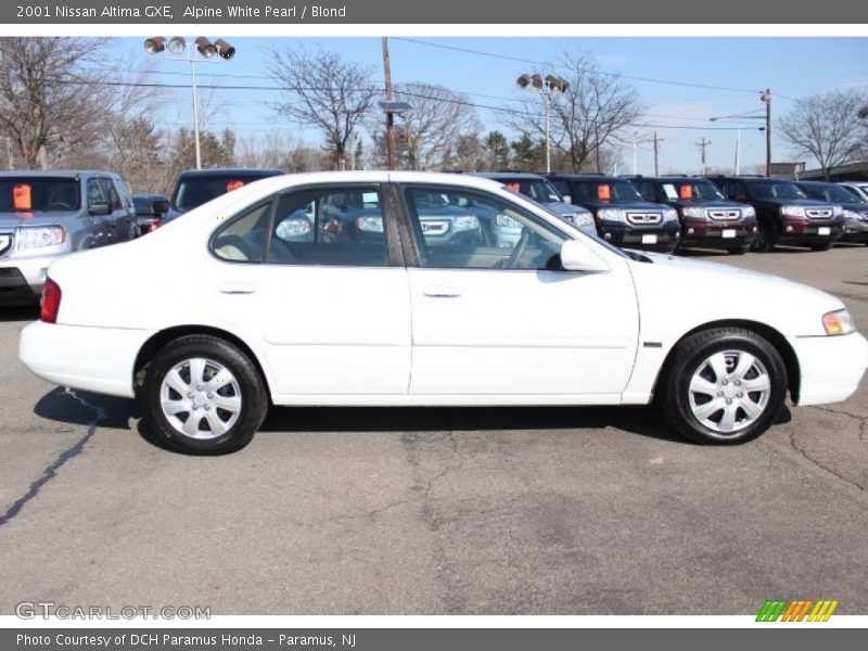  2001 Altima GXE Alpine White Pearl