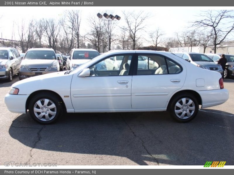 Alpine White Pearl / Blond 2001 Nissan Altima GXE