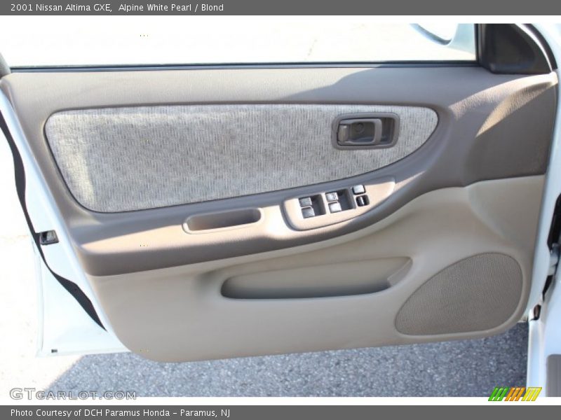 Door Panel of 2001 Altima GXE