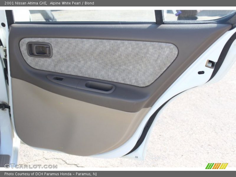 Door Panel of 2001 Altima GXE