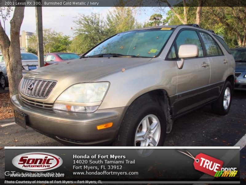 Burnished Gold Metallic / Ivory 2001 Lexus RX 300