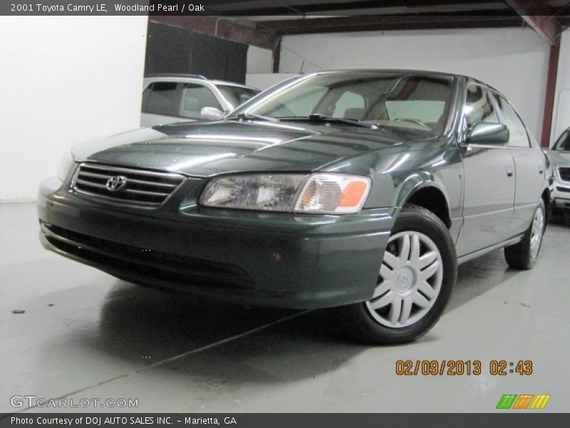 Woodland Pearl / Oak 2001 Toyota Camry LE