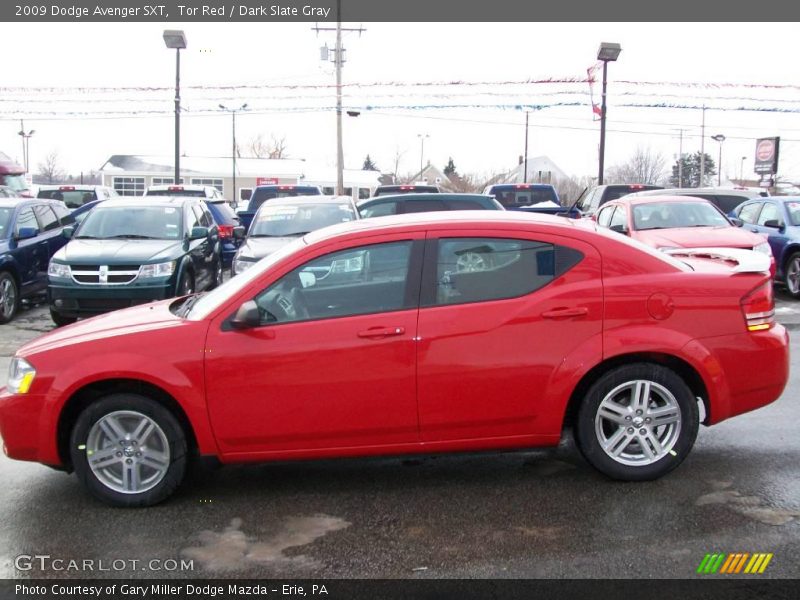 Tor Red / Dark Slate Gray 2009 Dodge Avenger SXT