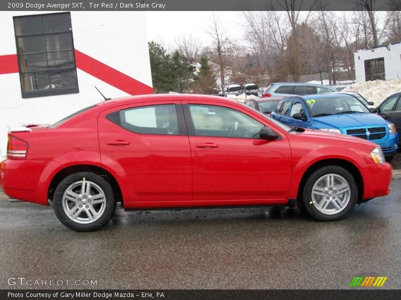 Tor Red / Dark Slate Gray 2009 Dodge Avenger SXT