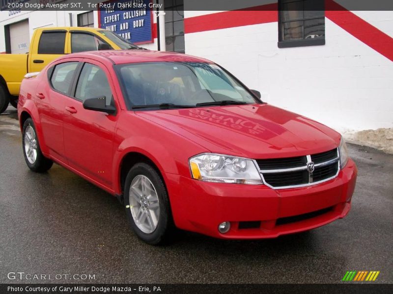 Tor Red / Dark Slate Gray 2009 Dodge Avenger SXT