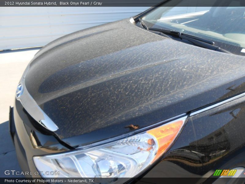 Black Onyx Pearl / Gray 2012 Hyundai Sonata Hybrid