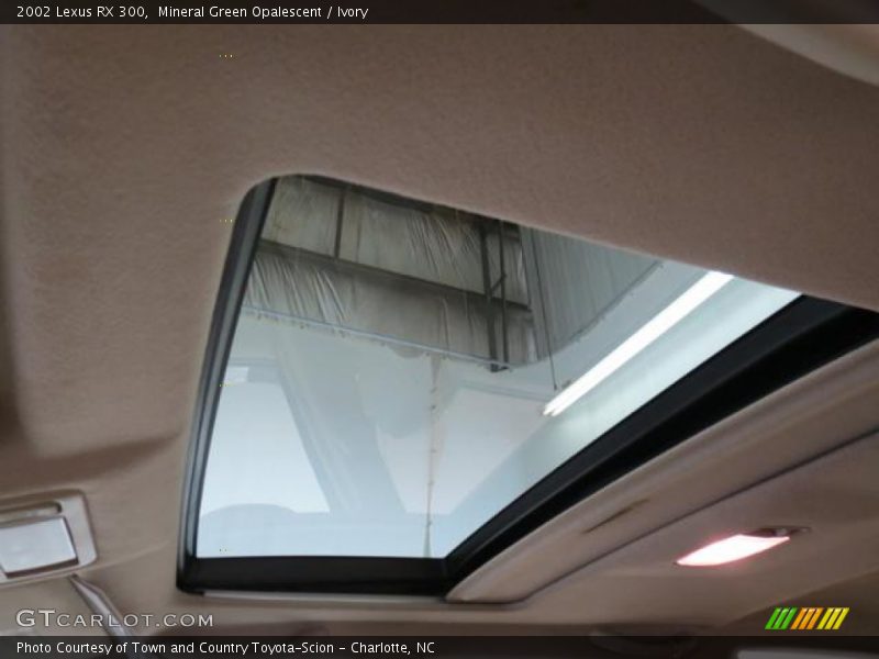 Mineral Green Opalescent / Ivory 2002 Lexus RX 300