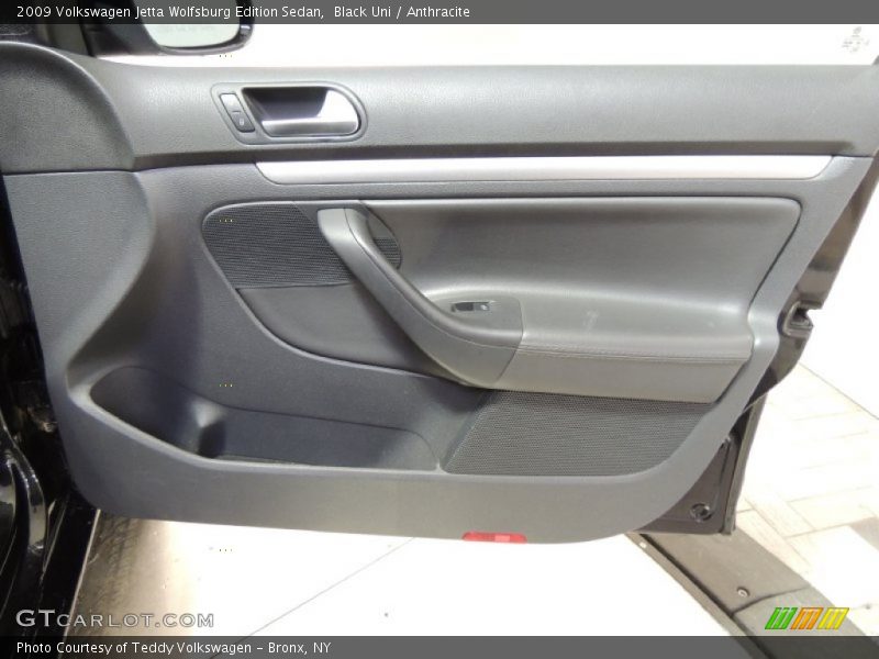 Door Panel of 2009 Jetta Wolfsburg Edition Sedan