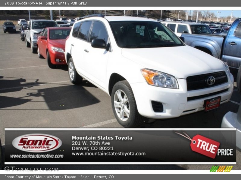 Super White / Ash Gray 2009 Toyota RAV4 I4