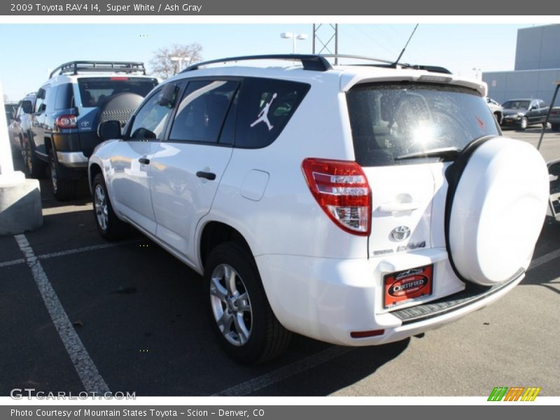 Super White / Ash Gray 2009 Toyota RAV4 I4
