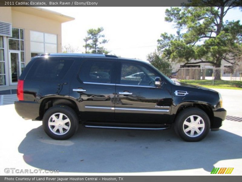 Black Raven / Ebony/Ebony 2011 Cadillac Escalade