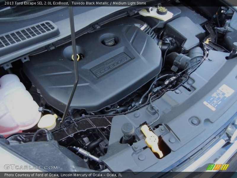 Tuxedo Black Metallic / Medium Light Stone 2013 Ford Escape SEL 2.0L EcoBoost