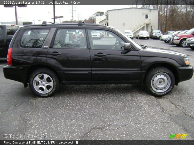 Java Black Pearl / Gray 2003 Subaru Forester 2.5 XS