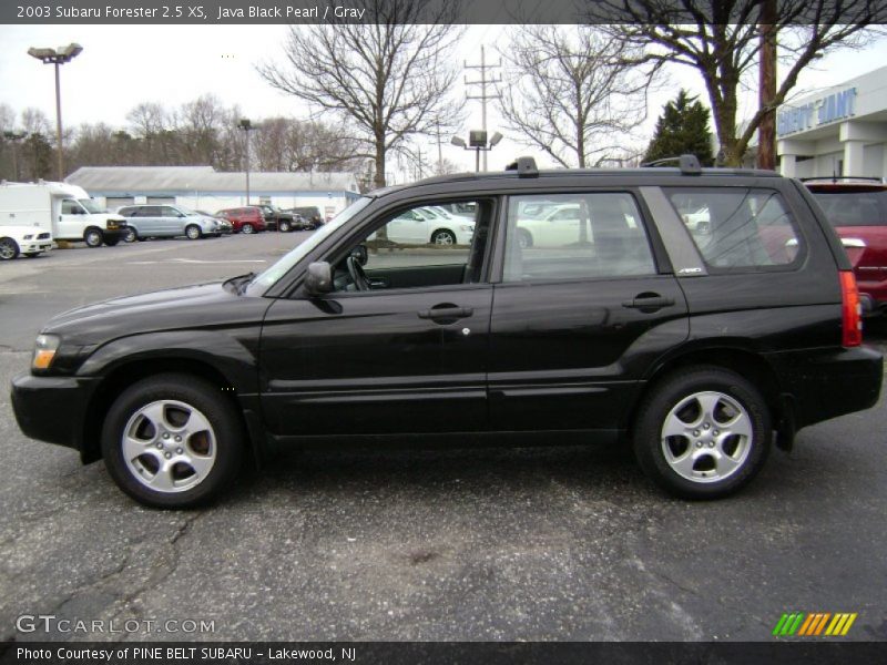 Java Black Pearl / Gray 2003 Subaru Forester 2.5 XS