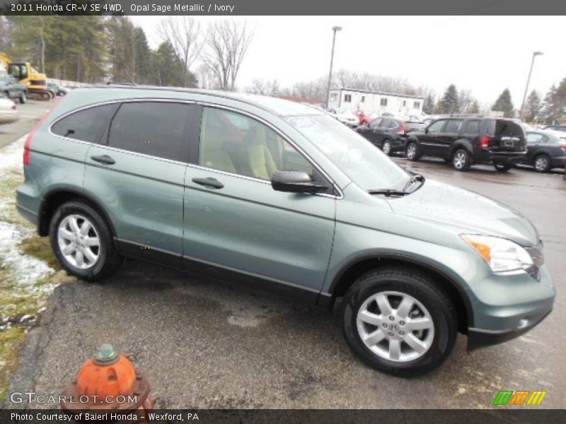 Opal Sage Metallic / Ivory 2011 Honda CR-V SE 4WD