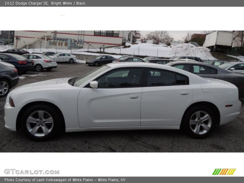 Bright White / Black 2012 Dodge Charger SE