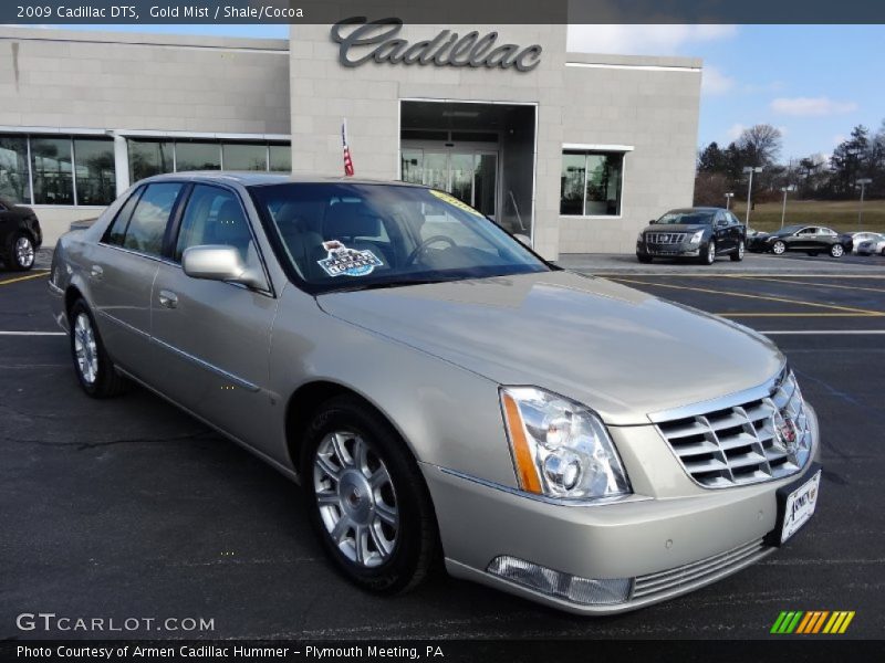 Gold Mist / Shale/Cocoa 2009 Cadillac DTS