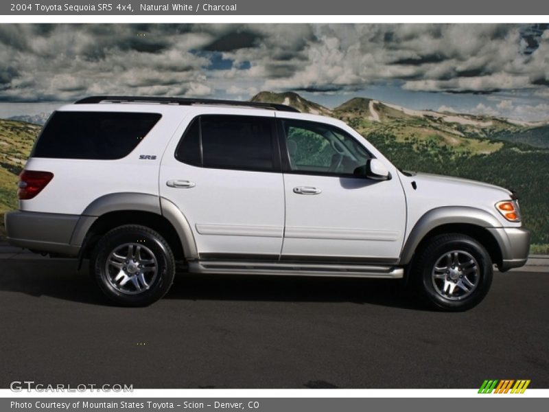 Natural White / Charcoal 2004 Toyota Sequoia SR5 4x4