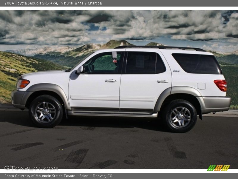 Natural White / Charcoal 2004 Toyota Sequoia SR5 4x4