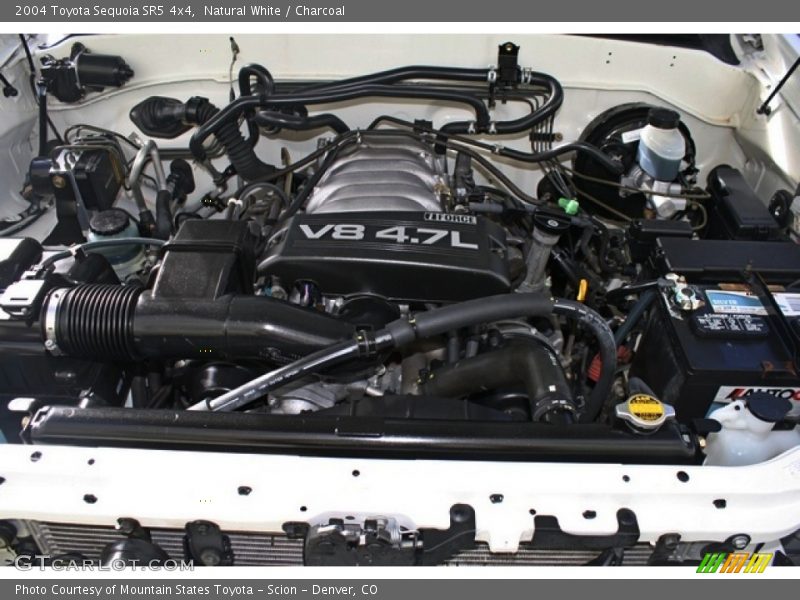 Natural White / Charcoal 2004 Toyota Sequoia SR5 4x4