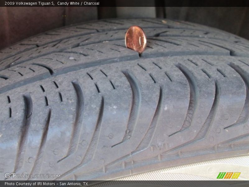 Candy White / Charcoal 2009 Volkswagen Tiguan S