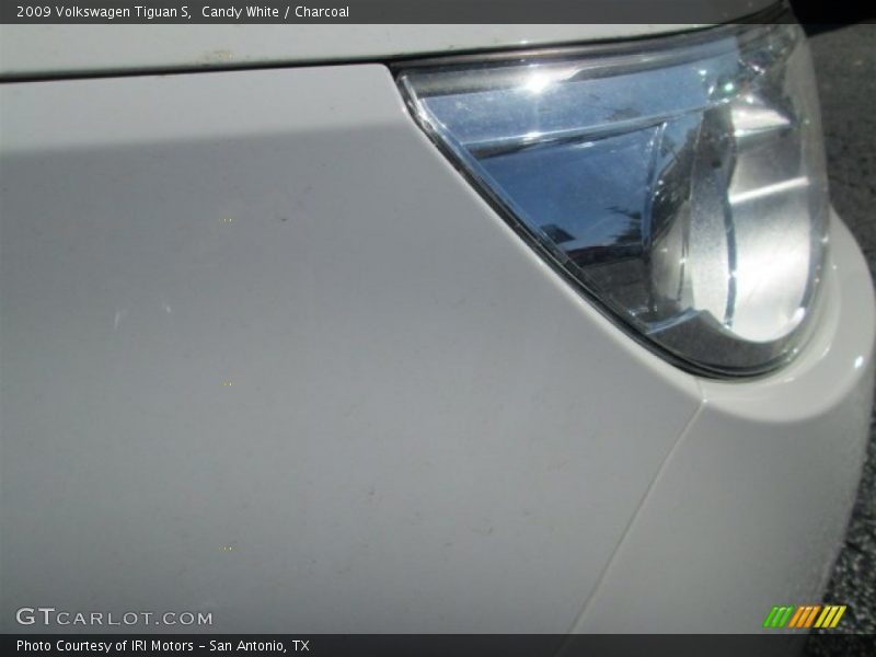 Candy White / Charcoal 2009 Volkswagen Tiguan S