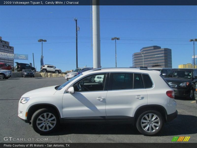 Candy White / Charcoal 2009 Volkswagen Tiguan S