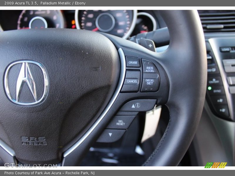 Palladium Metallic / Ebony 2009 Acura TL 3.5