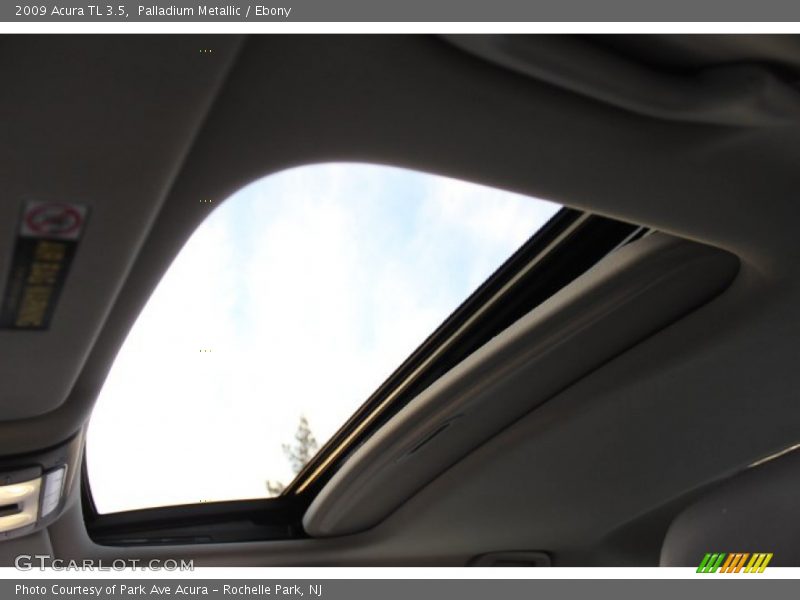 Palladium Metallic / Ebony 2009 Acura TL 3.5
