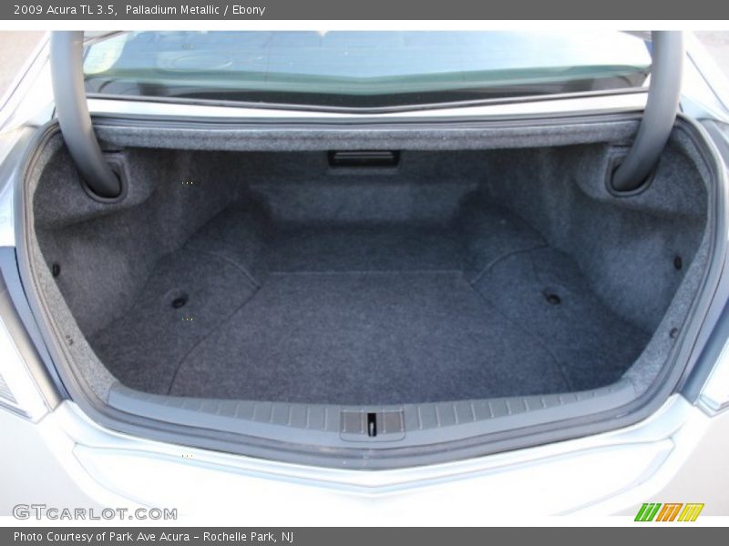 Palladium Metallic / Ebony 2009 Acura TL 3.5