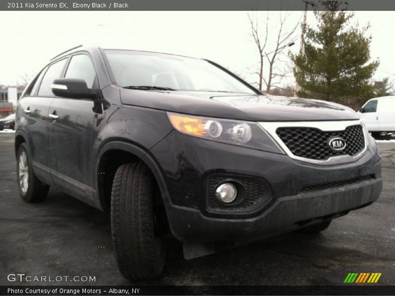Ebony Black / Black 2011 Kia Sorento EX