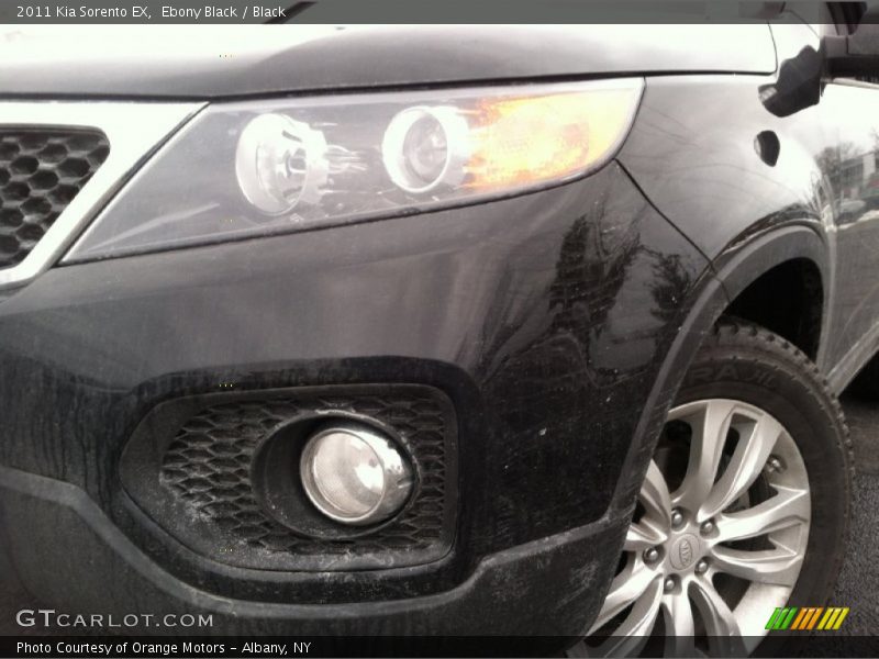 Ebony Black / Black 2011 Kia Sorento EX