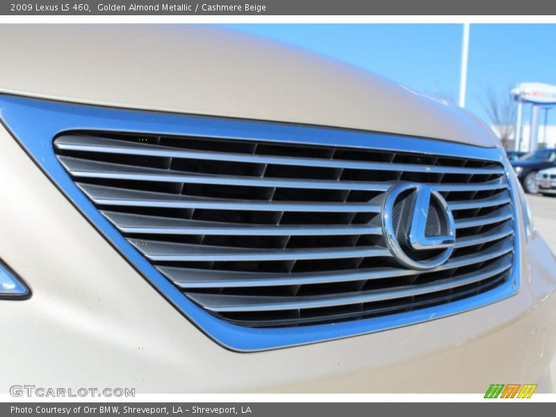 Golden Almond Metallic / Cashmere Beige 2009 Lexus LS 460