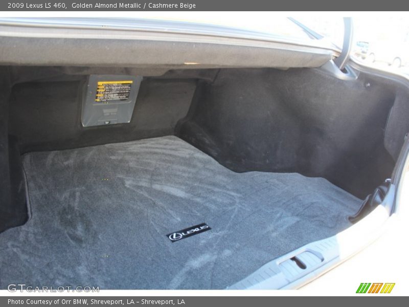Golden Almond Metallic / Cashmere Beige 2009 Lexus LS 460