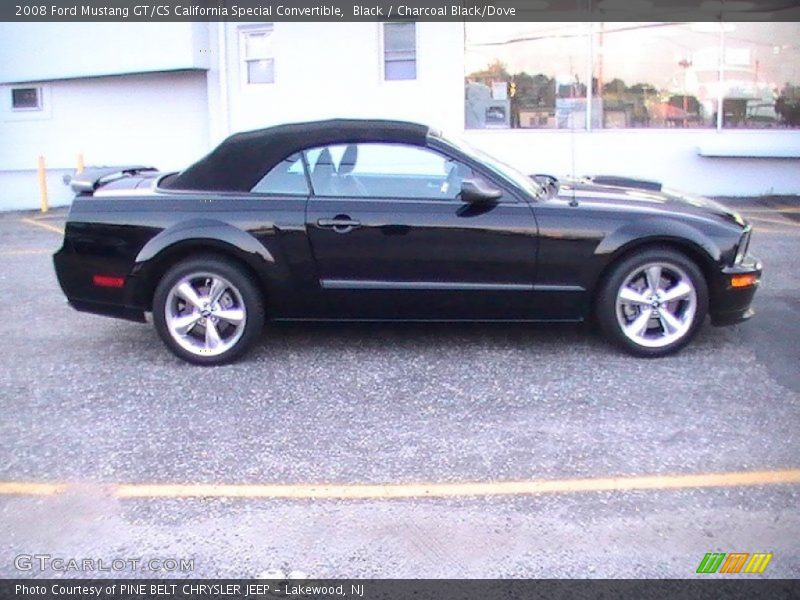 Black / Charcoal Black/Dove 2008 Ford Mustang GT/CS California Special Convertible