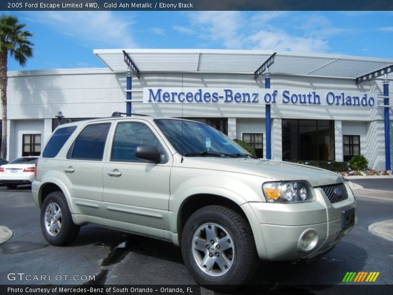 Gold Ash Metallic / Ebony Black 2005 Ford Escape Limited 4WD