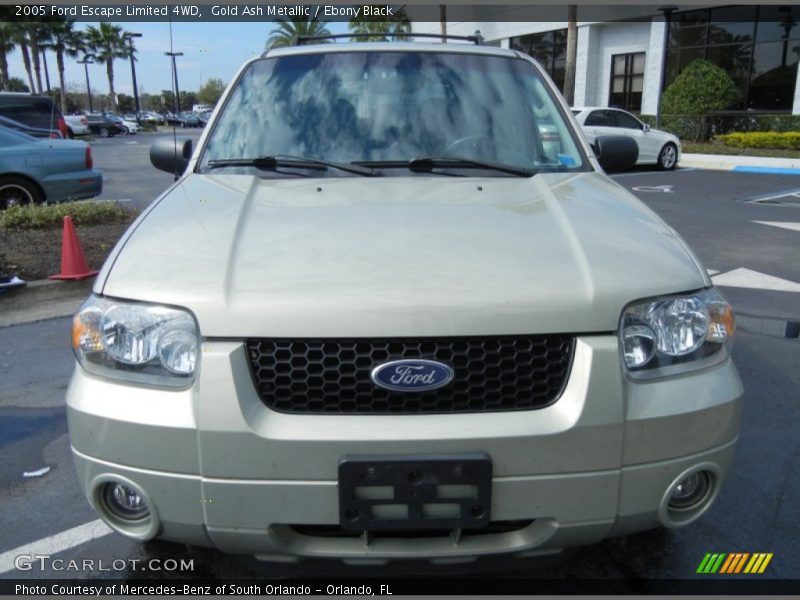 Gold Ash Metallic / Ebony Black 2005 Ford Escape Limited 4WD