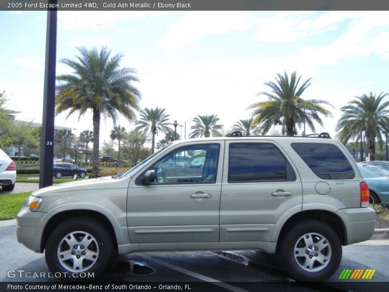 Gold Ash Metallic / Ebony Black 2005 Ford Escape Limited 4WD