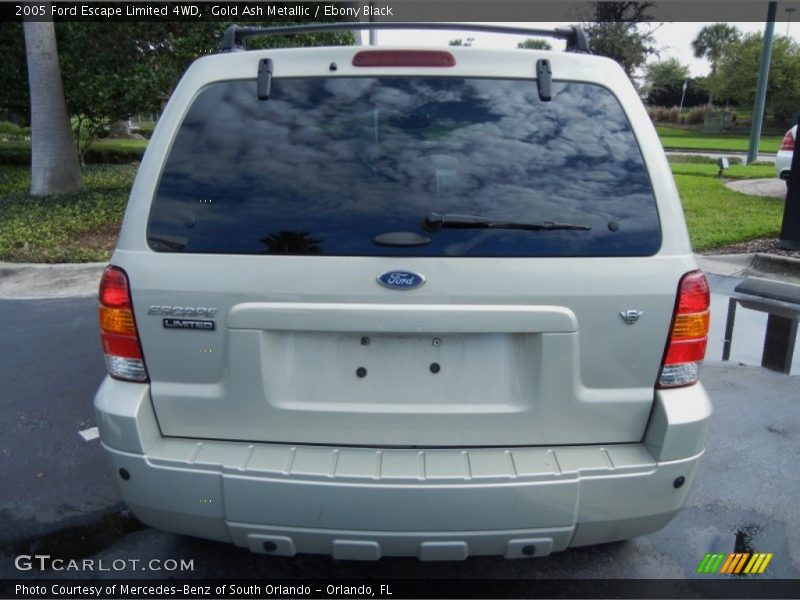 Gold Ash Metallic / Ebony Black 2005 Ford Escape Limited 4WD
