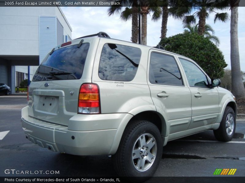  2005 Escape Limited 4WD Gold Ash Metallic